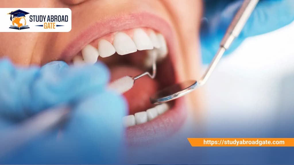 تكلفة دراسة ماجستير طب الأسنان في ألمانيا