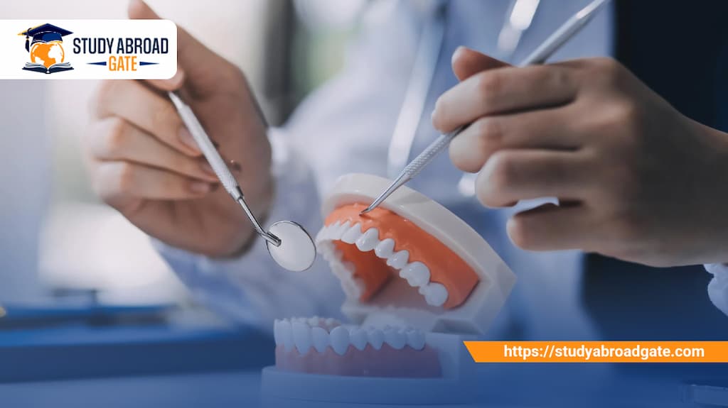 دراسة طب الأسنان في بولندا
