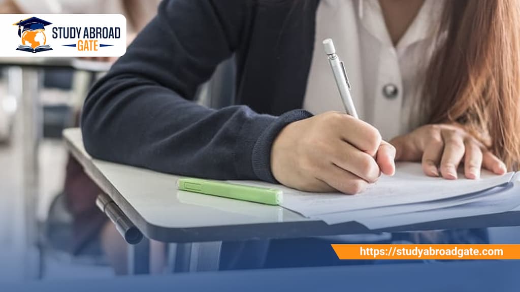 تخصصات المعاهد في تركيا