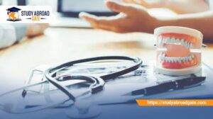 تكاليف دراسة طب ألاسنان في ألمانيا
