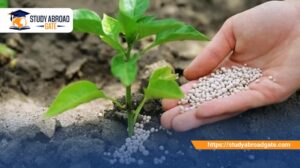دراسة الزراعة في المانيا