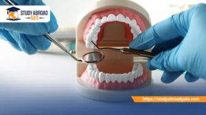 شروط دراسة طب الأسنان في ألمانيا