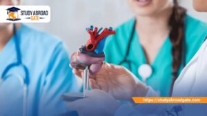 معدل القبول لدراسة الطب في ألمانيا