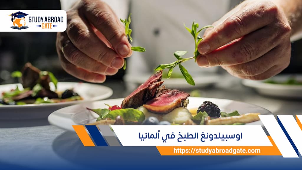 اوسبيلدونغ it في ألمانيا